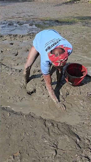 The Secret to Catching Fish by Hand in Your New Pond
