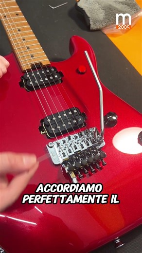 D-Tuna: come regolarlo su Floyd Rose? Segui il breve tutorial! #guitar #chitarra