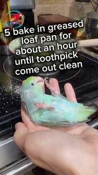 Let’s Make Bird Bread 🥖 for My Parrots with Mini’s Help! | #birds #parrot #parrot_bliss