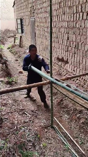 An ingenious method for splitting bamboo