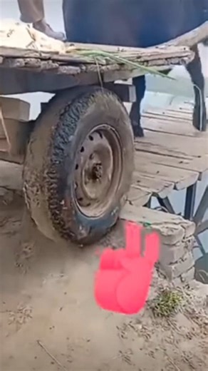 ਚੰਮੇਲੀ ਵਾਲਾ on Instagram: "ਡਰਾਇਵਰੀ #driving #driver #instagram #reels #video #viral #tranding #facebook #instagood"