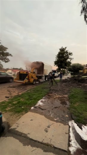 Bloom’s tree service (@bloomstreeservice)’s videos with sonido original - Comandante F>1 😎