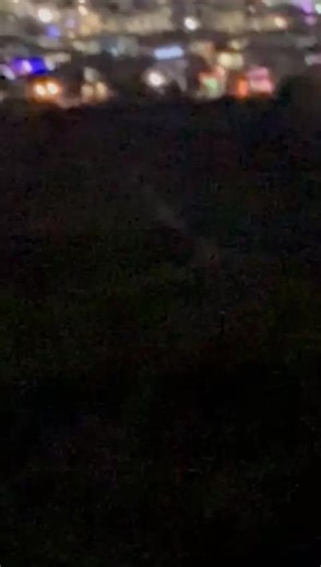 Videos de Zozo (@zozotao) con “sonido original - Zozo”