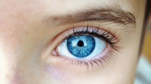 Study finds that every blue eyed person on Earth is a descendant of one single person