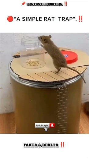 🔴 DIY RAP TRAP ..‼️ #feedshorts #diy #shortsfeed