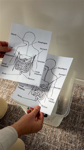 20K views · 58 reactions | Smart tracing method for students ✏️ | Genius Craft | Facebook