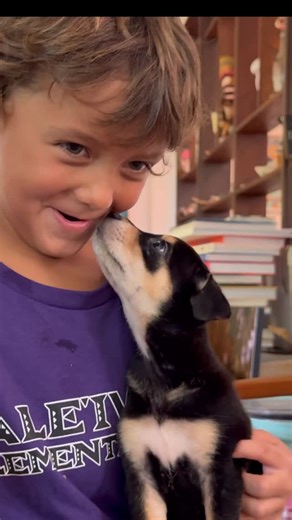 Kimi Werner on Instagram: "Well we finally did a thing. Something we have been putting off for a really long time. Buddy has been begging for a pet relentlessly and we resisted for so long because of the responsibility of it all and the challenges that come with much we travel and in all honesty- it just takes a lot to open my heart again after having to say goodbye to a special dog long ago whom I loved so much. But none of these reasons outweighed what has become beyond apparent, that Buddy ne