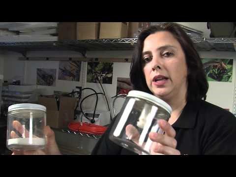 Collecting Insects: Tools and Supplies