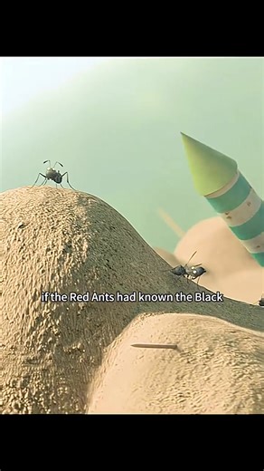 80K views · 1K reactions | They fought for territory #Movies #animation #movieclips #cartoon | Toon Lagoon | Facebook