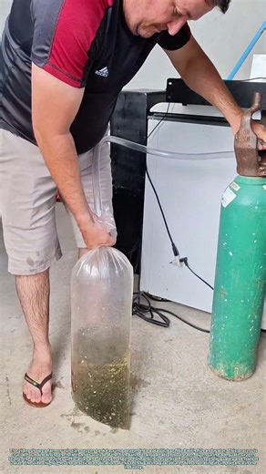 Oxygenating Fish Bags: A Lifesaving Technique for Aquaculture