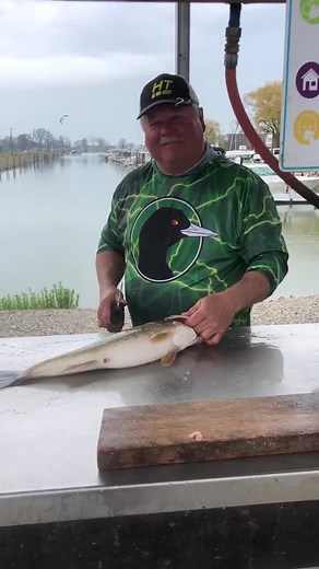 9.4K views · 502 reactions | How to clean a Walleye with Coot 閭 #cootslures #walleye #lakeerie #fishfillet #fishing #fish | Coots Lures | Facebook