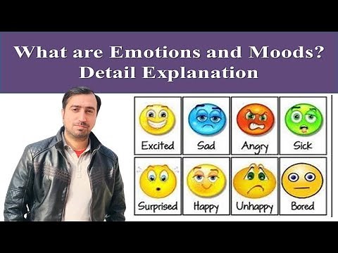 What are Emotions and Moods? Organizational Behavior