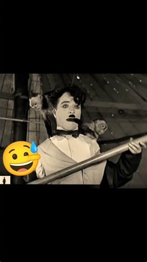 Charlie in circus 😱😱 #foryou #funny #circus #trending