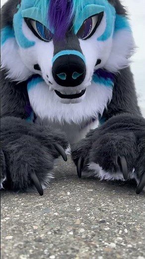 CLAW ASMR - Alaska Furry Tapping Claws on Pavement #asmr