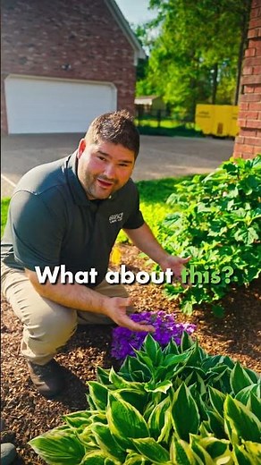 Curb Appeal Starts With Clean Landscape Beds | Farison Lawn Care