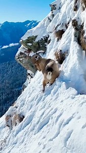 #hunza #gbtourplanners #gilgitbaltistan #skardu #kashmir #kalam #tours | Gilgit Baltistan Tour Planners