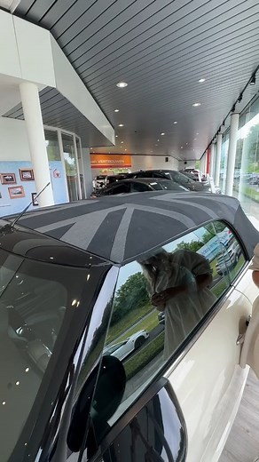 1.8K views | MINI Cabrio key hack.  You can close the soft top with your car key. | AutoScout24 | Facebook