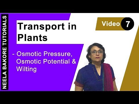 Transport in Plants | NEET | Osmotic pressure, Osmotic Potential & Wilting | Neela Bakore Tutorial