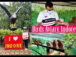 India's Best and largest Bird Aviary at Indore | Indore Zoo 2021