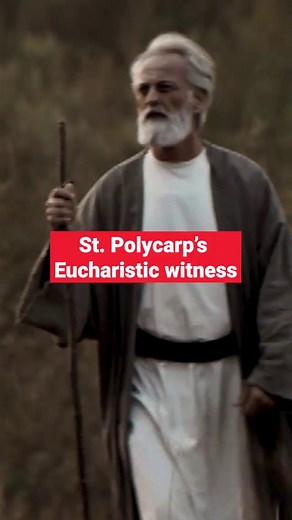 How St. Polycarp's martyrdom was a "Eucharistic witness" 🎥 "Alive in Christ" - stream now, FREE, on EWTN On Demand - ewtn.com/ondemand or the EWTN app | EWTN