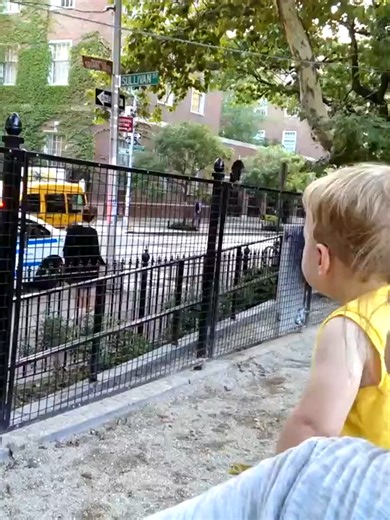 Theo Enjoys Police Light Show #police #light #show