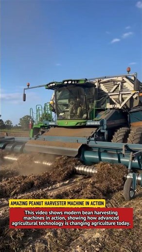 Amazing Peanut Harvester Machine in Action | Modern Farming Technology.