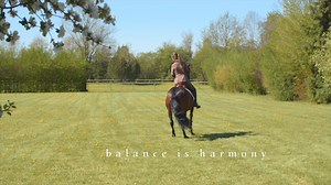 561 reactions · 50 shares | NOW AVAILABLE ON PRIME VIDEO ‼️...