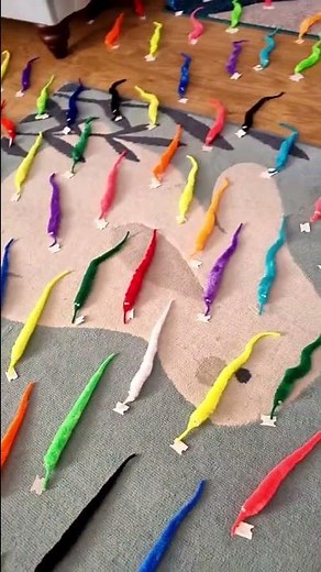 Worm on a string concert