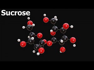 Sucrose - 3D Molecule View