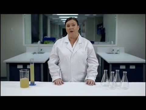 HSC Study Lab: Y12 Biology: Modelling Pasteur's Experiment