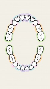 14 reactions | It's fun to track your baby's teeth as they make their...