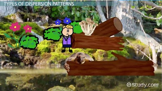 Dispersion Patterns in Nature | Uniform, Clumped & Random