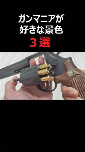 ガンマニアが好きな景色３選 #airsoft #toyguns #shorts