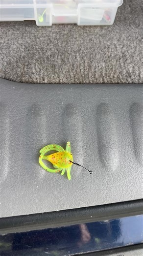 Fuzzy dice baits hahahaha #spiderwire #icast1998 #theneonanchor #fishtok