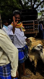 1.1K reactions | #lkschannel #GOAT #sheep | Lks Chanal | Facebook