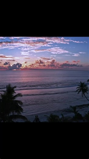 start creating your path today🔥#motivation #lifegoals #Growthmindset #selfimprovement #inspiration