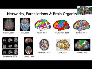 Thomas Yeo: Human brain network organization across different timescales