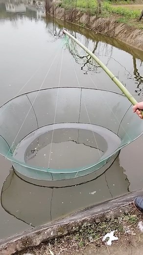8.3M views · 29K reactions |  Foldable Sticky Fishing Net – Catching Fish with Watermelon  #fblifestyle #kayakfishing #HHF | Hoodfishing_entertainment | Facebook