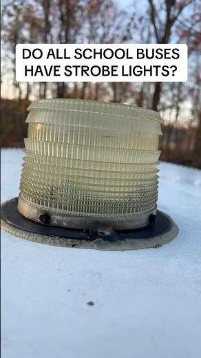 School Bus Strobe Lights