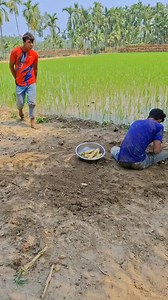 Viral Fun Comedy on Reels