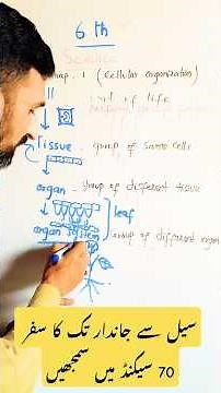 Levels of Organization in Biology | From Cell to Organism (Easy Diagram) Biology Short #science