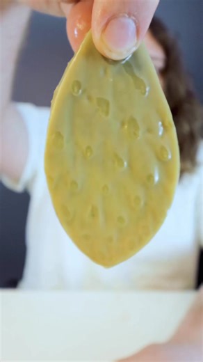 Cactus #asmr #asmreating | cactus