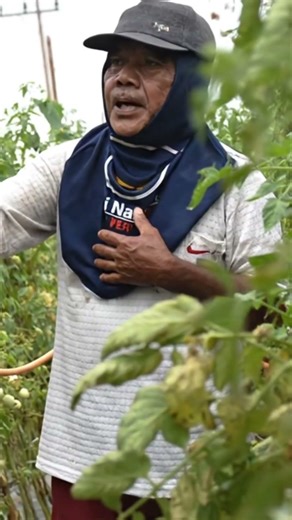 Liquid Biofertilizer, Liquid Trichoderma Fungicide, How to Apply FloraOne for Maximum Results