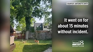 Adorable meetup between deer and dog in Grand Rapids
