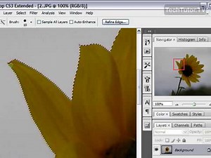 Use the Quick Selection Tool in Photoshop CS3