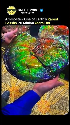 70 Million-Year-Old Ammolite – One of Earth’s Rarest Fossils