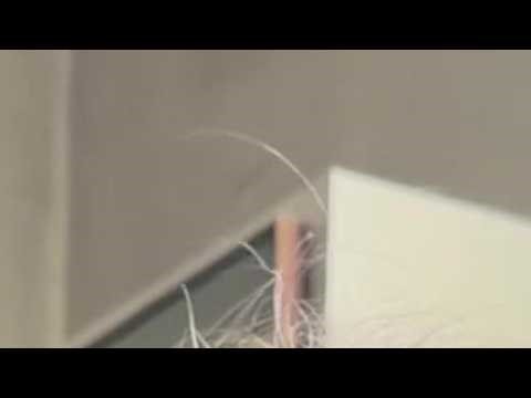 Kollox qed jitlaqiela !! Washing machine, geezer and now Tv. Ordered one from Laptop Factory and ...