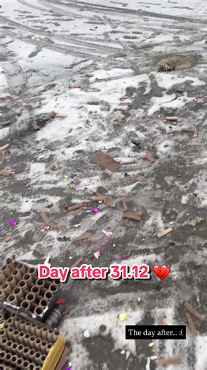 Feli || mom of 2 ||☃️🌨️❄️ (@infelislife)’s videos with The Day After Tomorrow - Harald Kloser