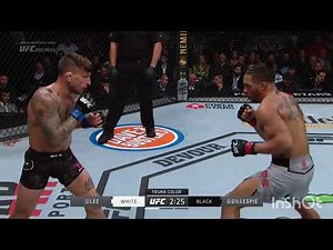 Knockout of the day:UFC 244 Kevin Lee vs Gregor Gillespie