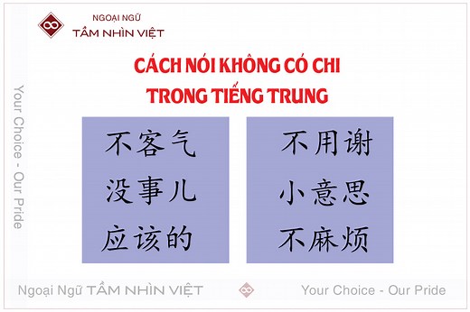 Cách nói không có chi tiếng Trung Đơn Giản - Ngoại ngữ Tầm Nhìn Việt | Trung tâm dạy tiếng Trung uy tín